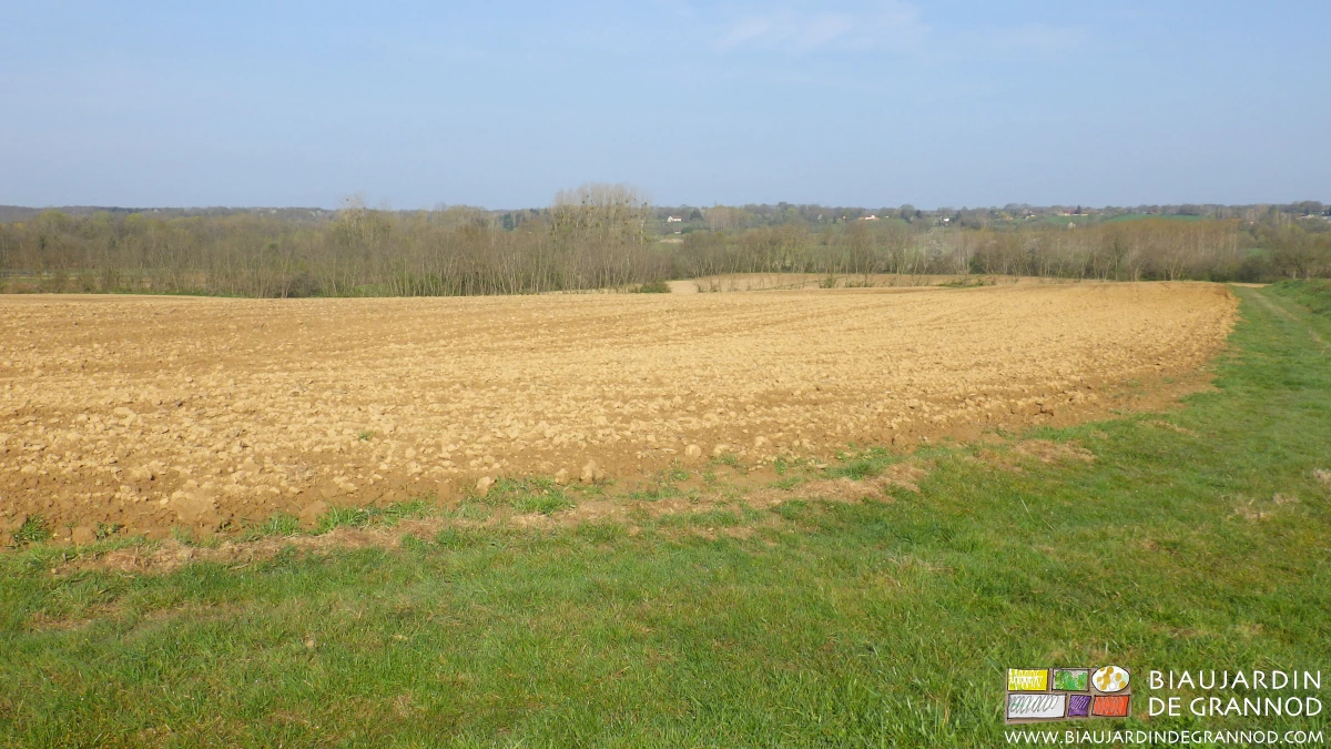 photo d'une parcelle de terre en cours de reprise en hiver