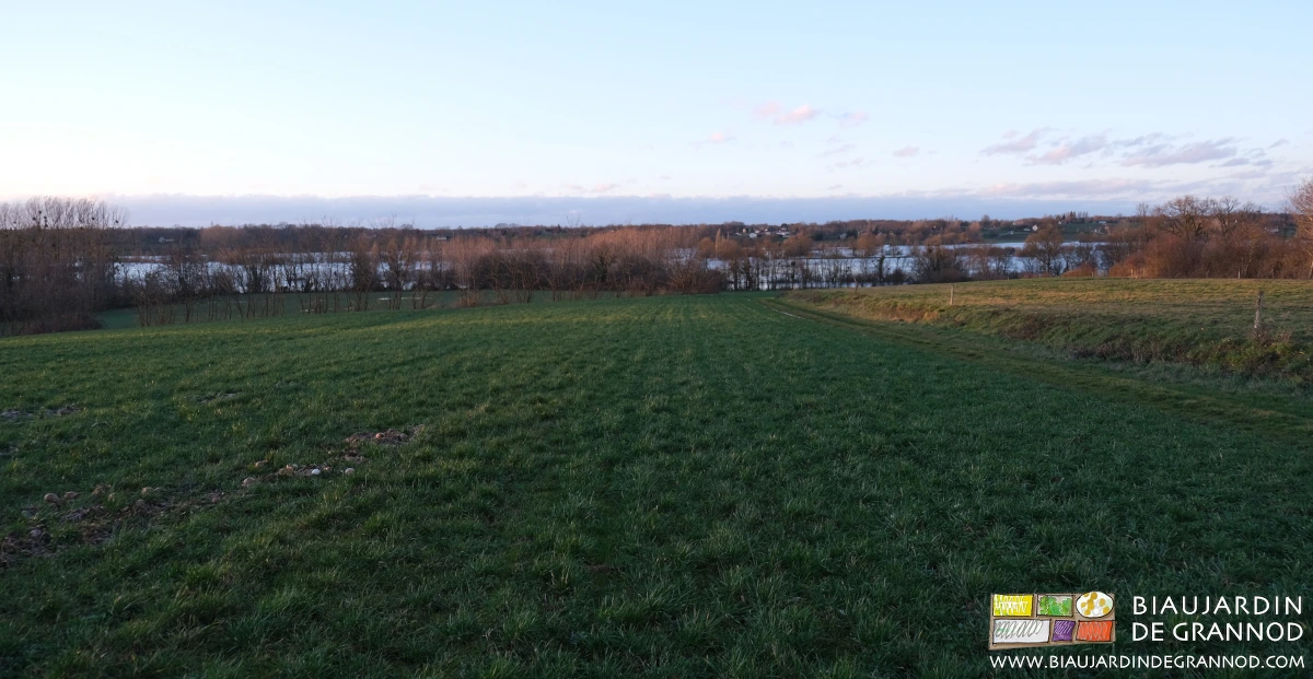 photo depuis notre jardinde la prairie de Seille couverte d'eau lors d'une crue