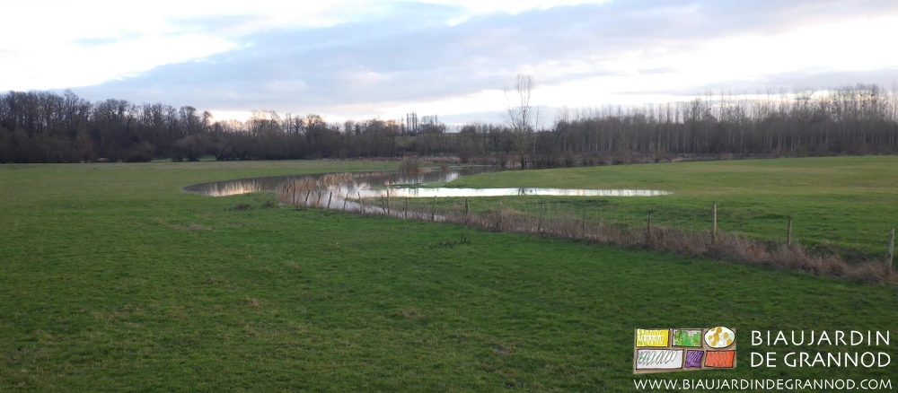 photo zones sous l'eau en prairie