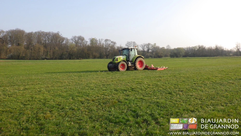 photo du passage de la herse de pré pour favoriser la biodiversité prairiale en zone humide
