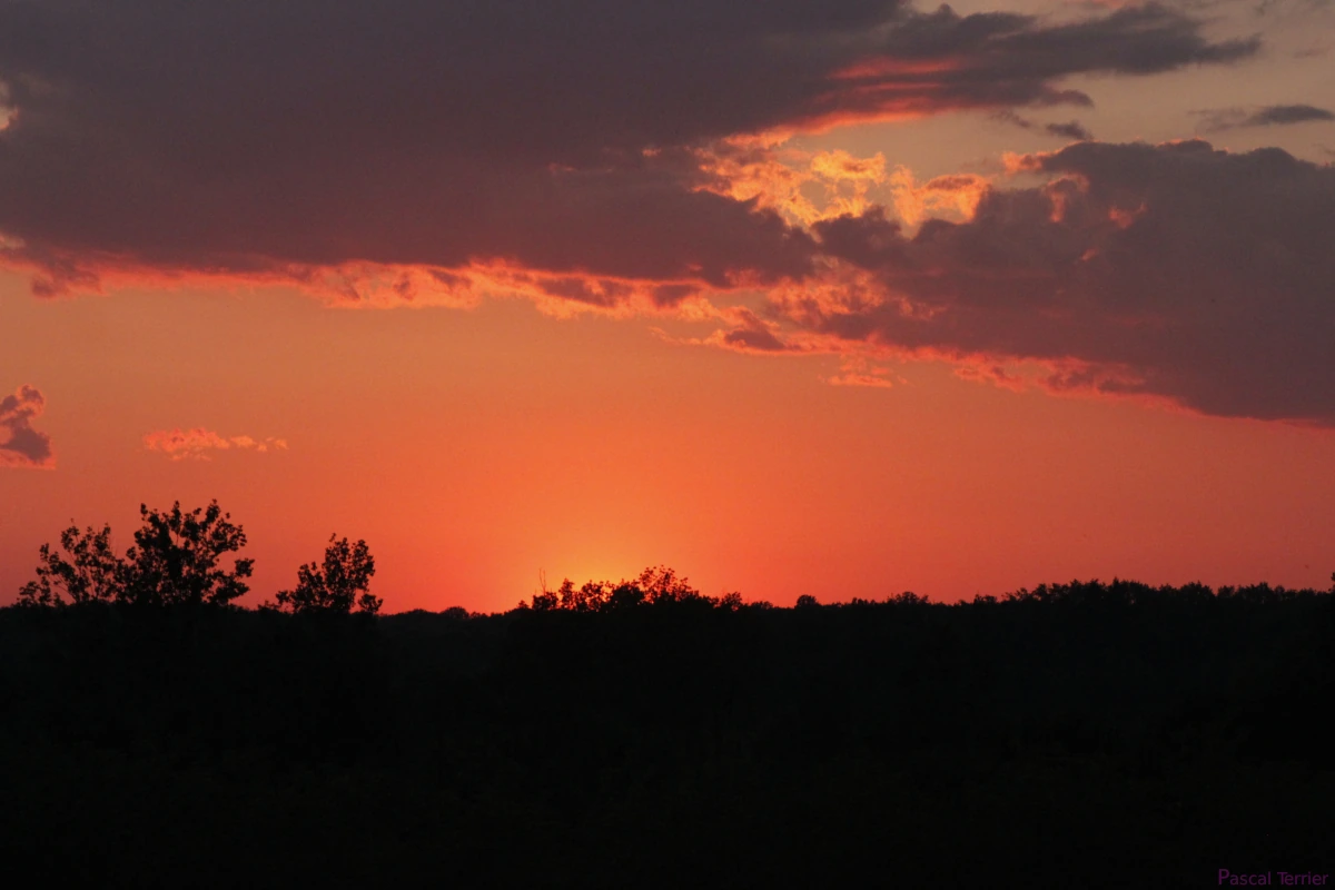 photo de flamboyant couché de soleil sur la prairie de Seille