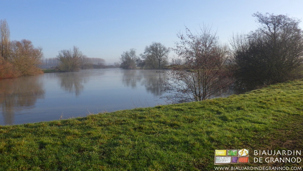 photo matinale du calme des bords de Seille