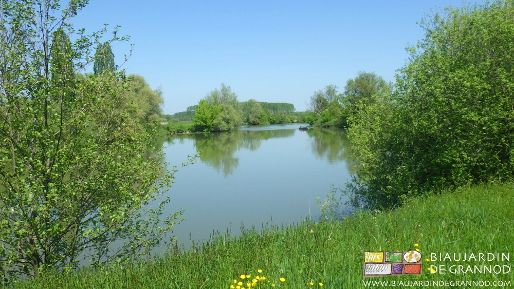 photo d'une barque sur la Seille au printemps