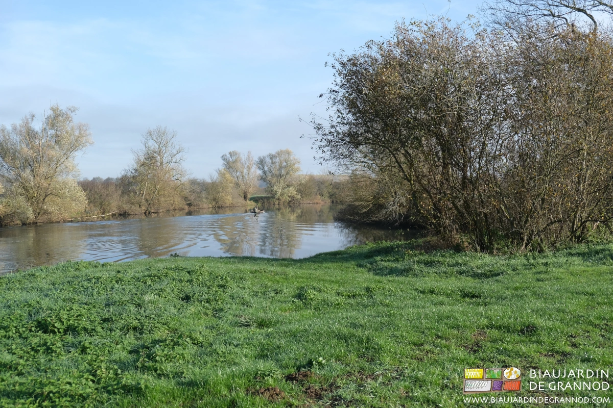 photo matinale d'un méandre de la Seille avec un pêcheur en barque