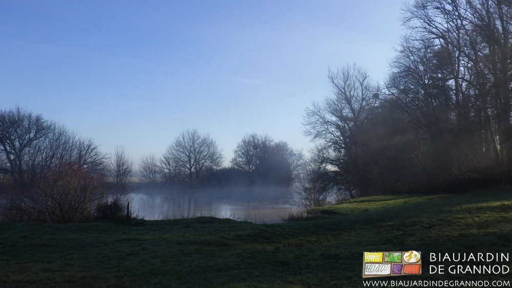 photo d'ambiance légèrement brumeuse sur la Seille
