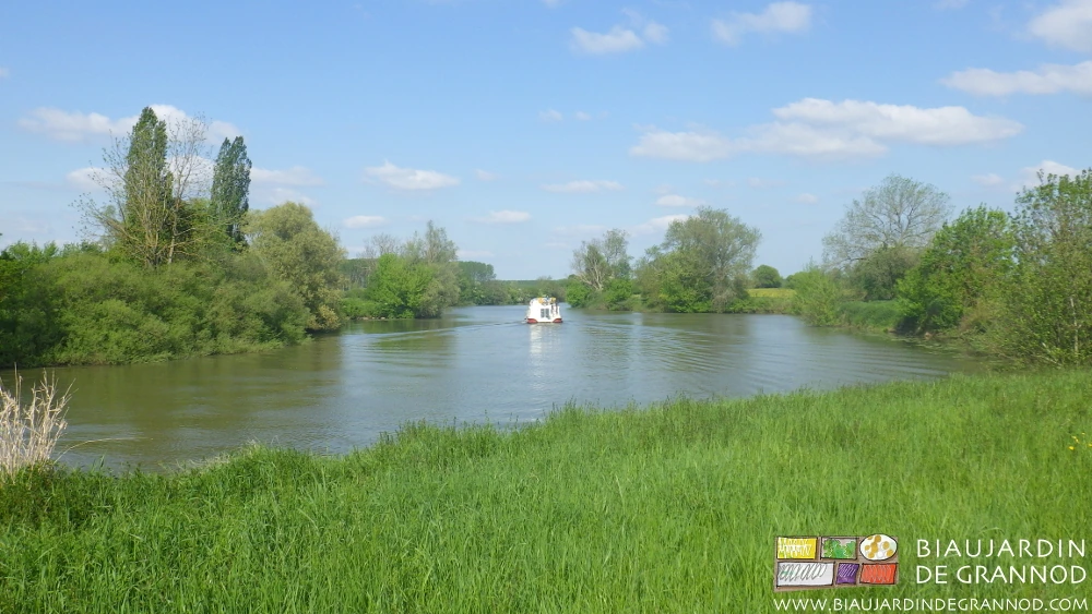 photo d'un petit bateau motorisé visitant la Seille