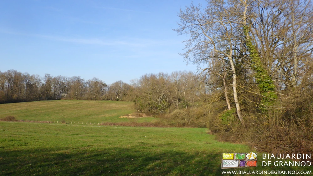 photo d'un des prés valonnés