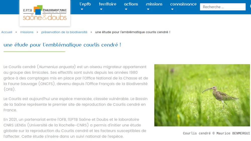 copie d'écran Établissement Public de Bassin Sâone Doubs article Courlis