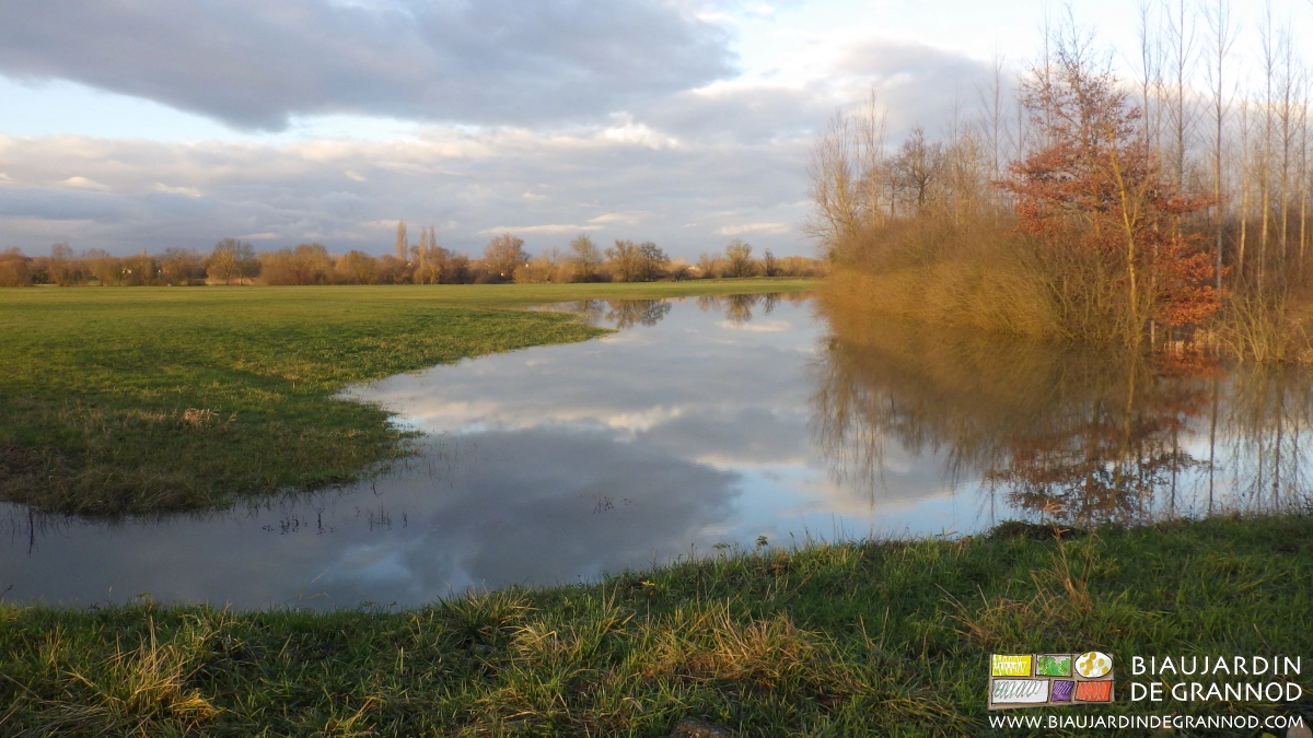 photo de prairie partiellement inondée par débordement des biefs et nos par crue