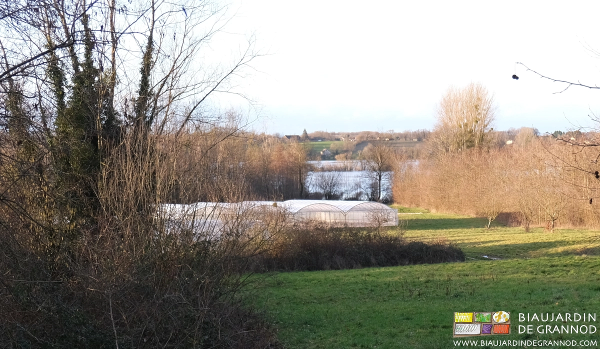 vu du haut du jardin, nos tunnels approchés par une crue de la Seille
