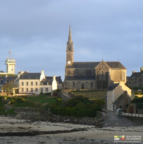 photo de l'église longée par un carré de chou