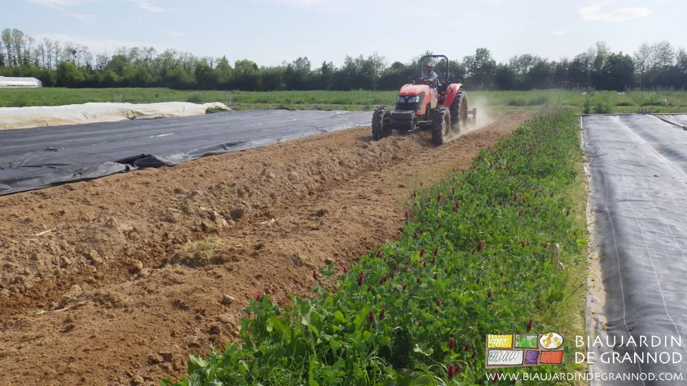 vue du travail avec le bogie bêches