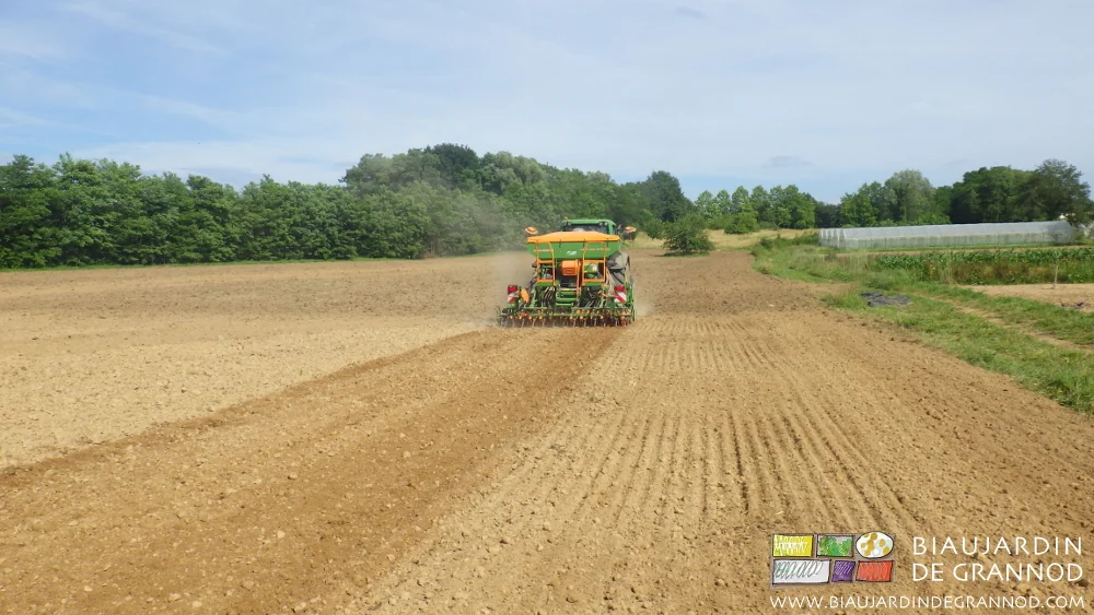 photo d'ensemble de la parcelle en cours de semis avec un très beau résultat