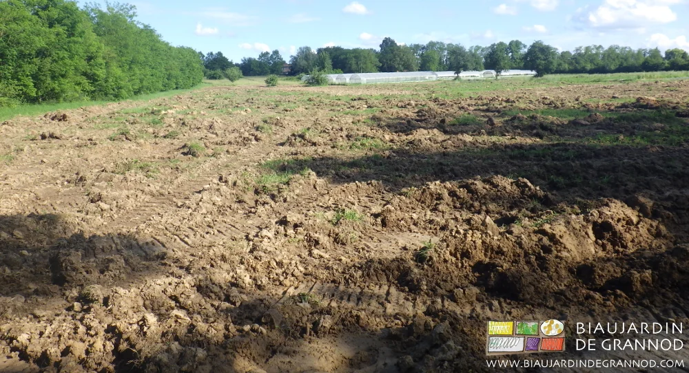 photo de l'état de la parcelle fissurée après le chantier de drainage