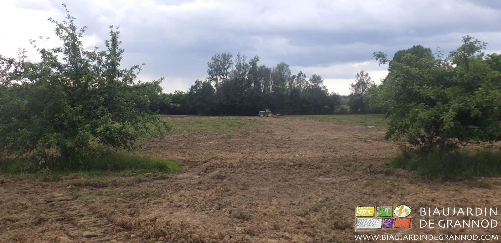 photo d'ensemble de la parcelle en cours de reprise
