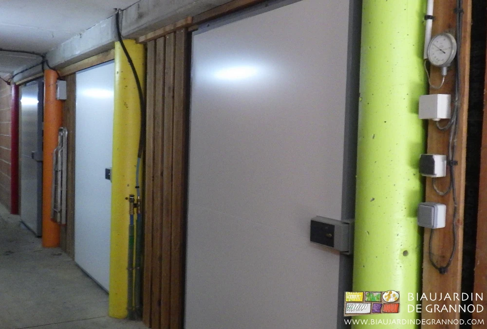 photo des magnifiques couleurs flachi des poteaux