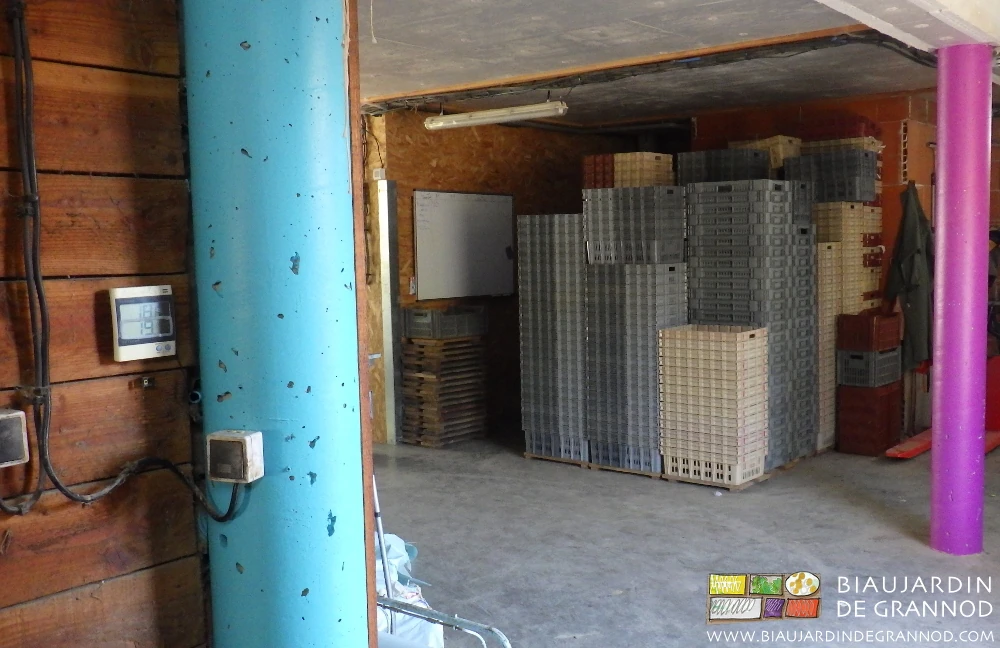 photo des poteaux bleu vif et violet du local de préparartion