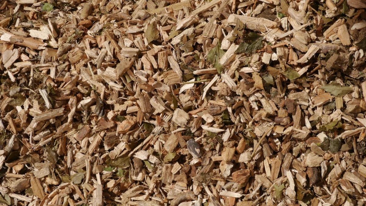 photo proche de plaquette bocagère aux belles couleurs variées