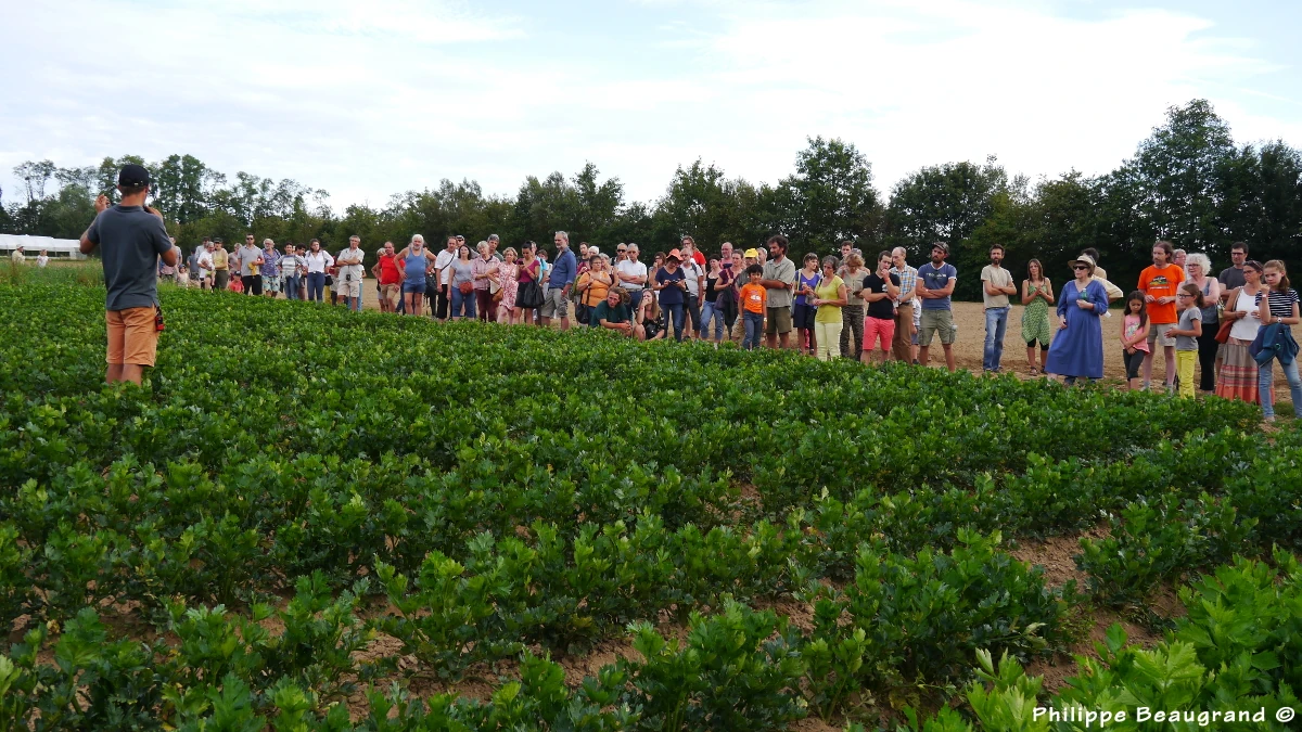 photo de Matthieu dans un carré de céleri expliquant aux visiteurs comment il les entretient en Bio