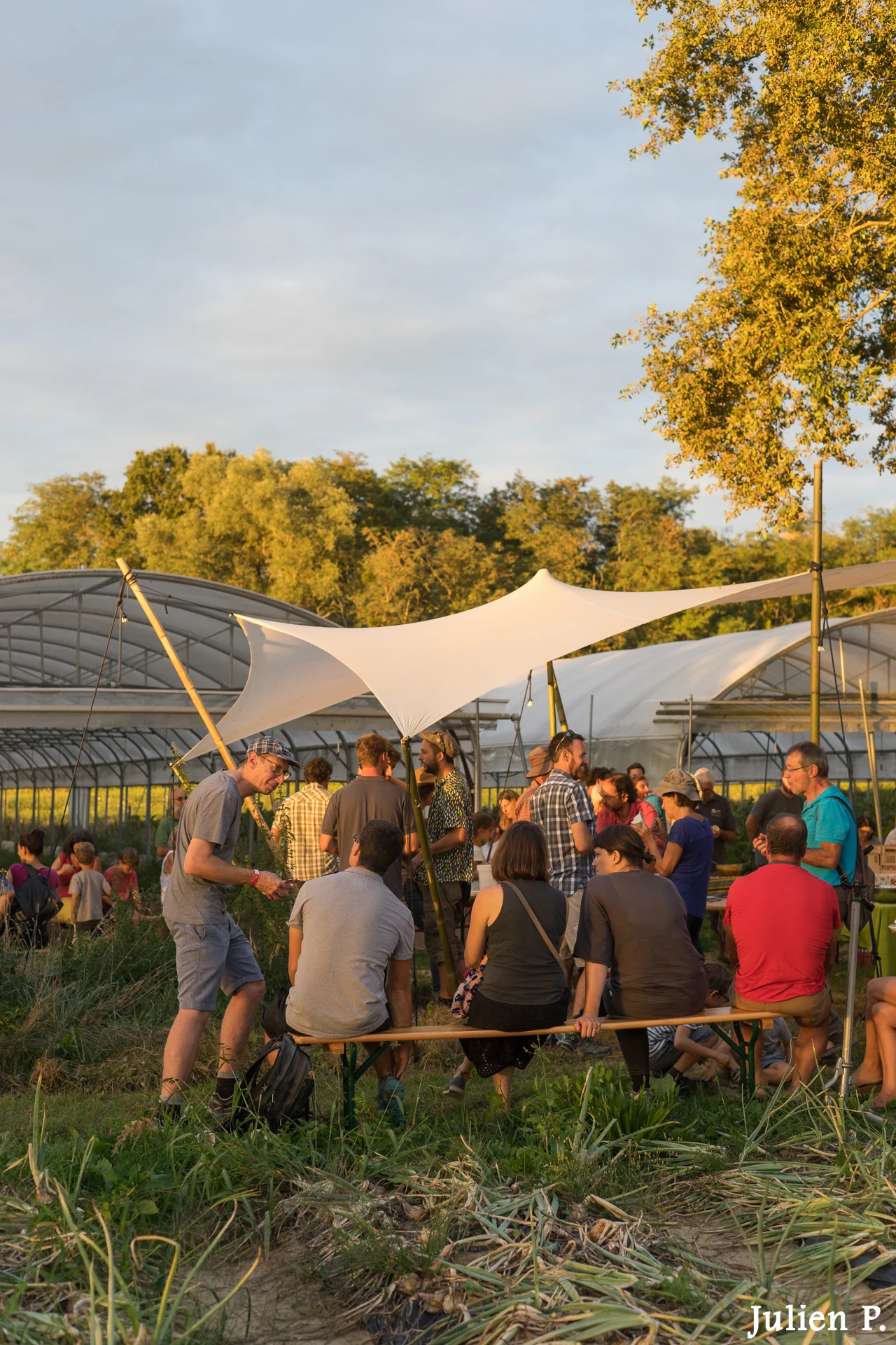 photo de Clément parlant avec des visiteurs sous les installations d'ombrage qu'il avait installées