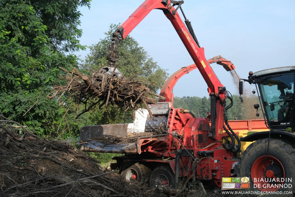 photo de la grue qui amène un gros fagot de branches petites