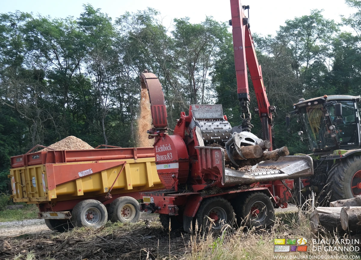 photo de la grue de déchiqueteuse qui pose le bois sur son tapis d'amenée