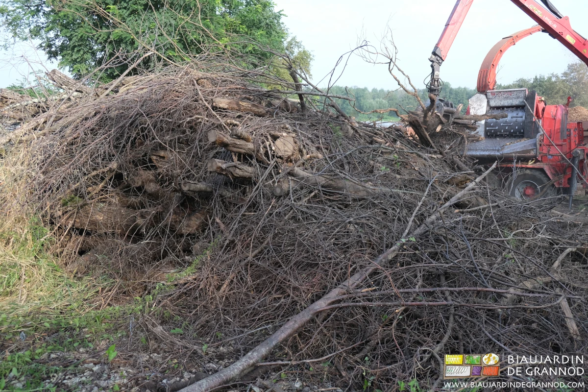 photo du tas avec des troncs et branches d'absolument tous diamètres