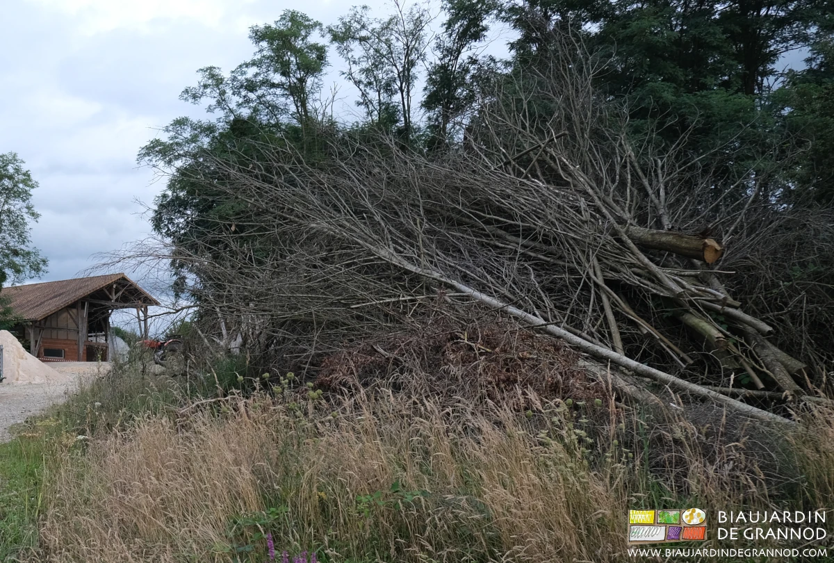 photo du tas de bois constitué au fil de l'entretien de nos haies bocagères