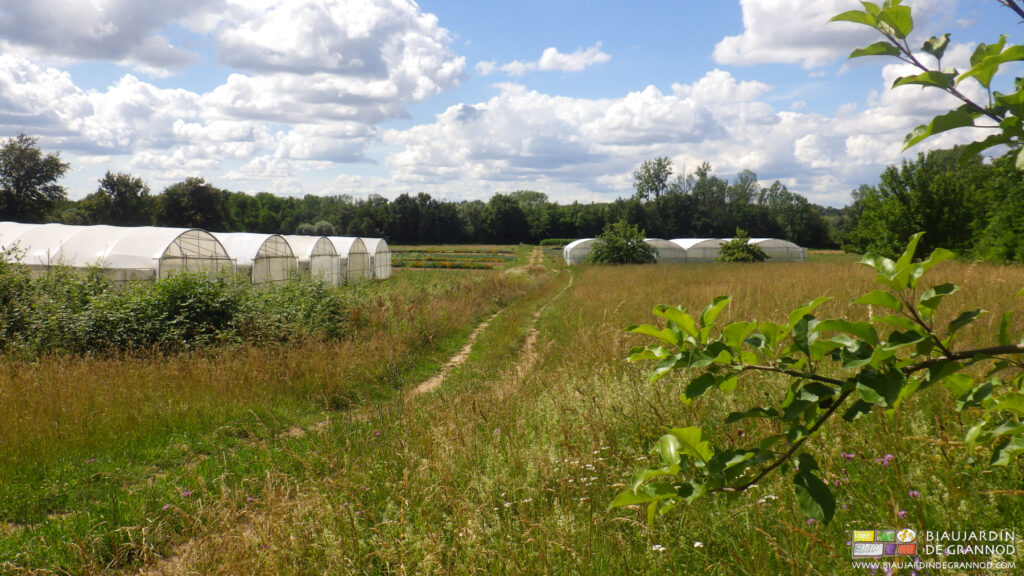 Maraîchage bio entouré de haies, incluant des tunnels comme de la prairie et des arbres.
