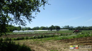 vue du jardin mélange de légumes, fleurs, tunnels, arbres isolés, engrais vert, bocage