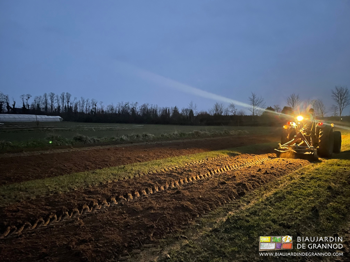photo de déchaumage d'engrais vert au rotovator avec les phares
