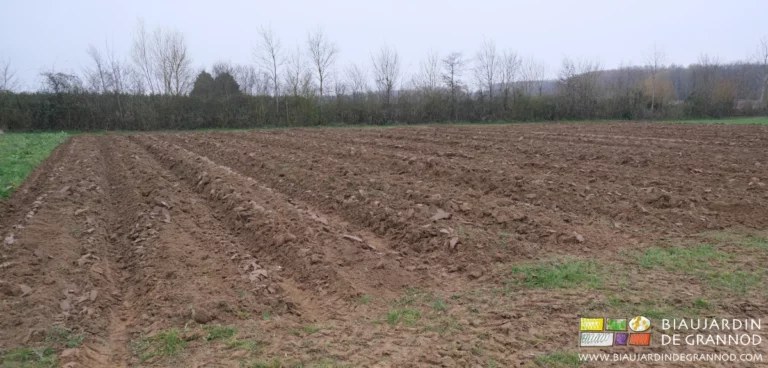 photo d'un carré de planches buttées