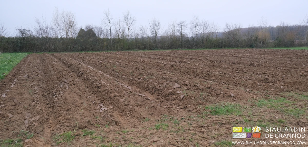 photo d'un carré de planches buttées