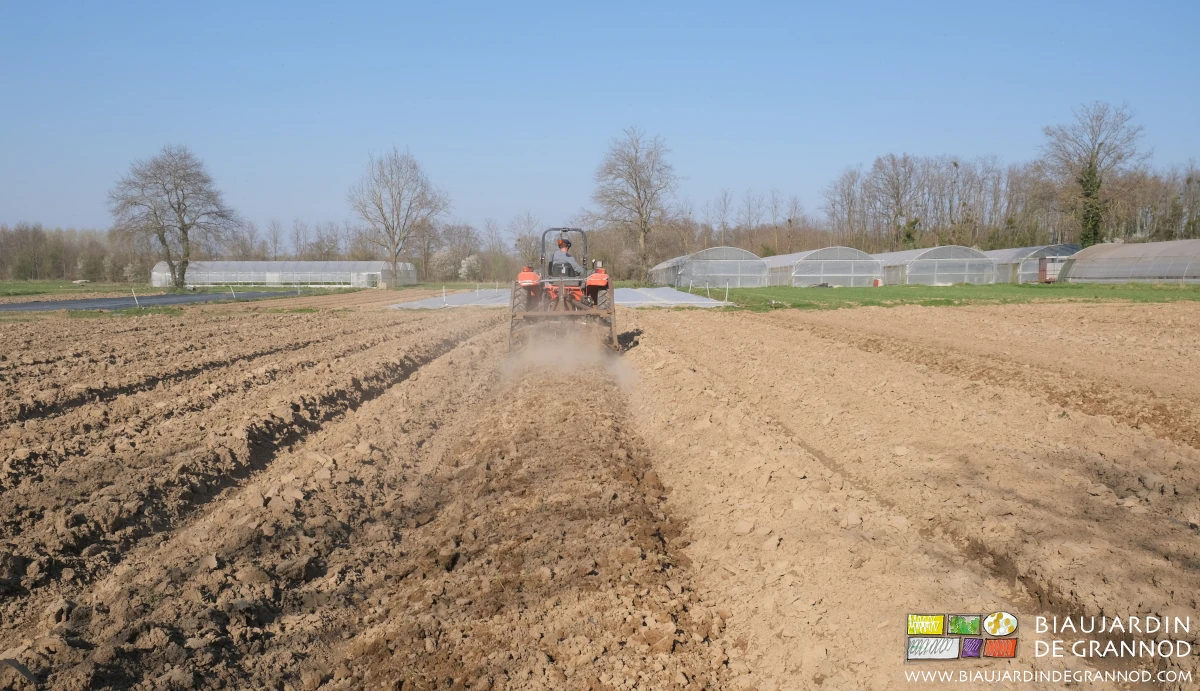photo du beau travail au roloflex lors de la reprise de planches buttées