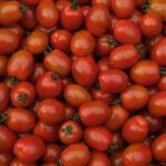 photo d'une cagette de tomate cerise