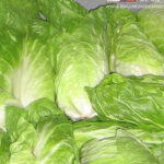 photo de pain de sucre en cours de blanchiment