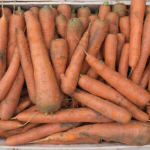 photo de carotte non lavée dans une cagette bois