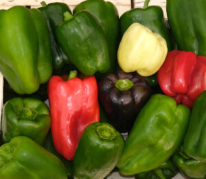 photo de caisse bois de poivron vert, noir, blanc, rouge