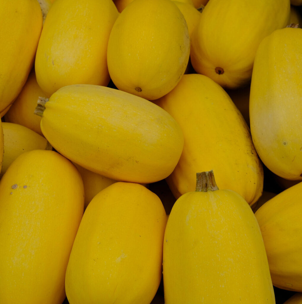 photo de courge spaghetti mûre