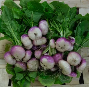 photo de bottes de navet violet en botte sur une caisse bois