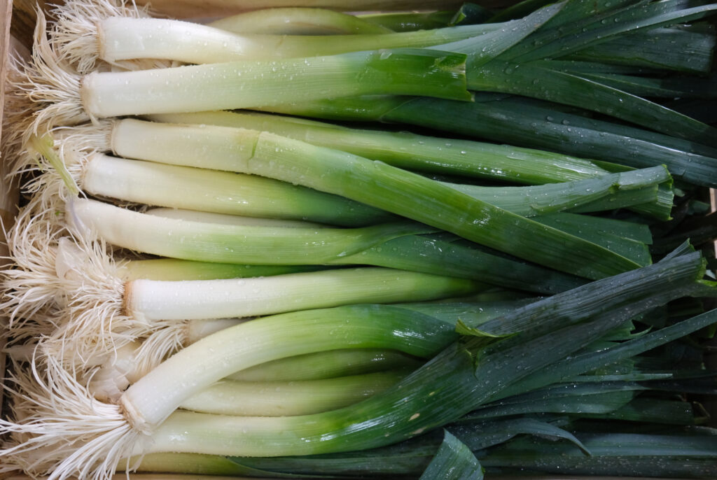 phooto de poireau plumé, raccourci, lavé, paré pour la vente