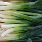 phooto de poireau plumé, raccourci, lavé, paré pour la vente