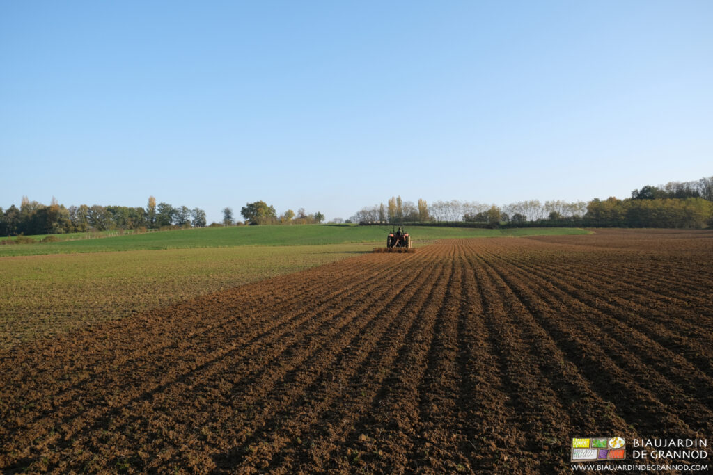 Photo d’un déchaumage dans les grandes parcelles en conversion à la bio