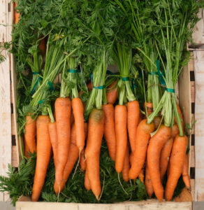 photo de bottes de carottes lavées posées en cagette bois