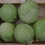 photo de chou cabus rangés en caisse bois