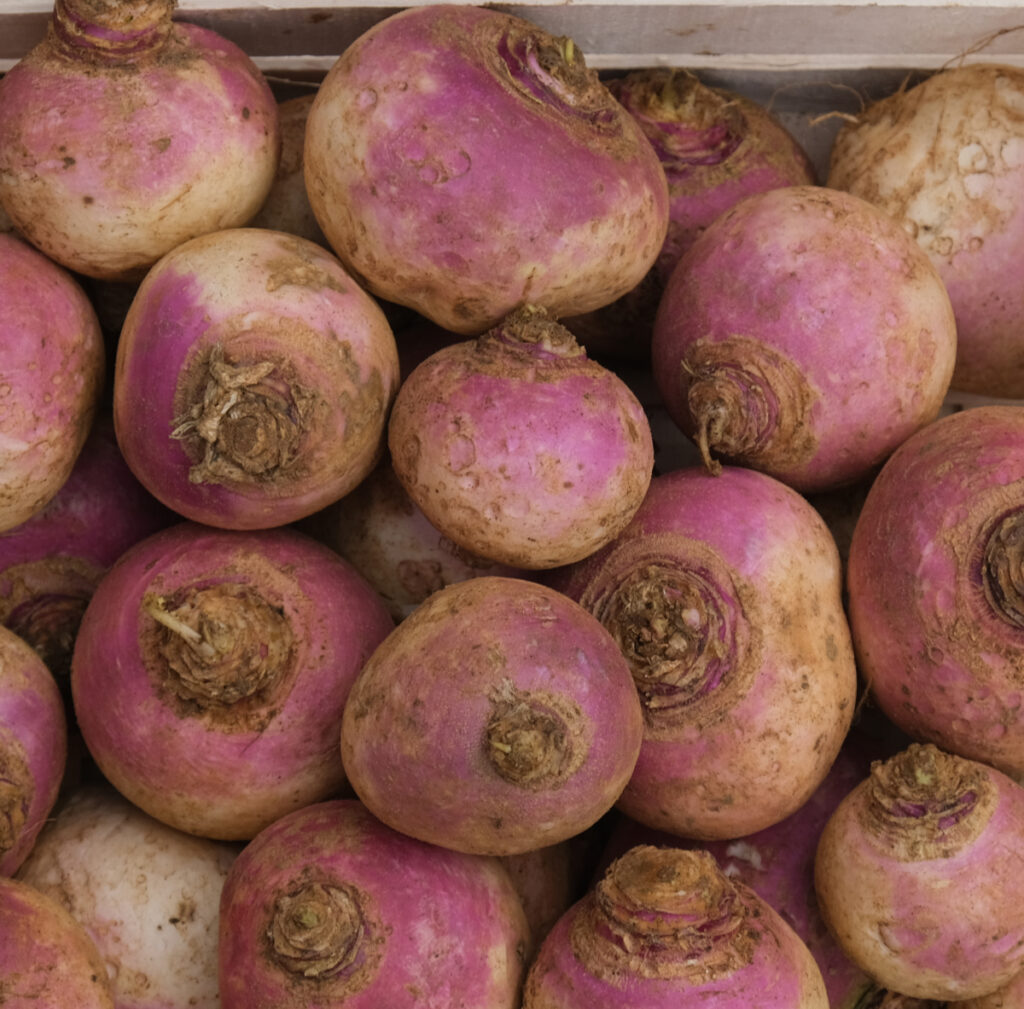 photo de navet violet non lavé sur cagette bois