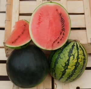 photo de 2 variétés de pastèque et tranche rose de pastèque