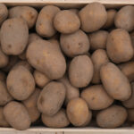 photo de pomme de terre d'hiver en cagette bois