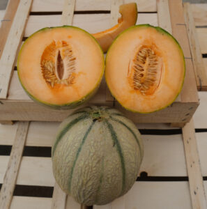 photo de melon entier et coupé en deux