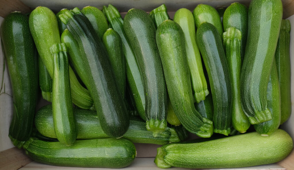 photo de courgette verte rangée en cagette